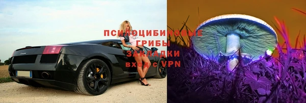 крисы Абинск